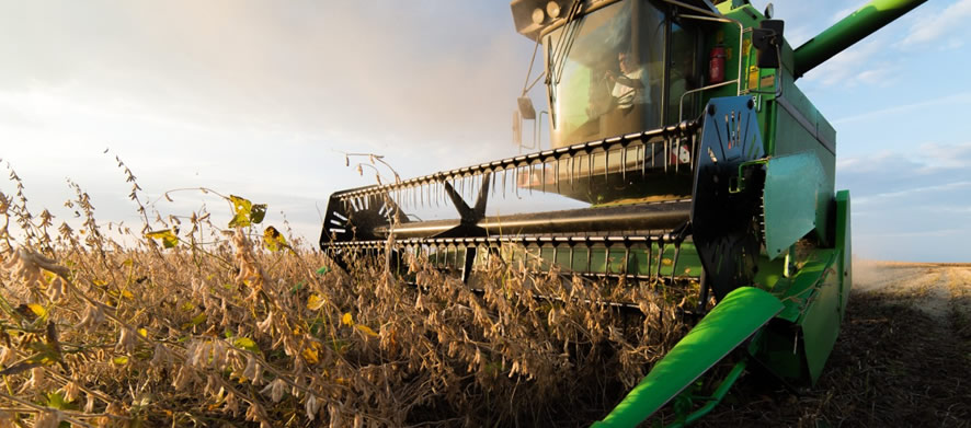 Desafios Legais nas Exportações Agrícolas