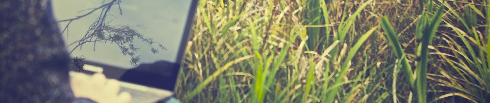 Blog | Desafios legais nas exportações agrícolas